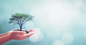 Vantagens do Vidro Reciclado VIDREPUR - 8 RAZÕES