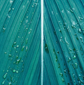 Vantagens do Vidro Reciclado VIDREPUR - 8 RAZÕES