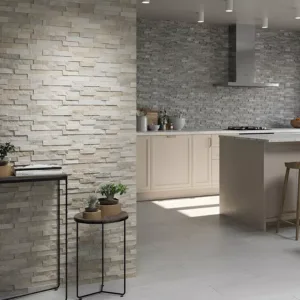 ELM - CANYON MIX PORCELAIN - 20X60